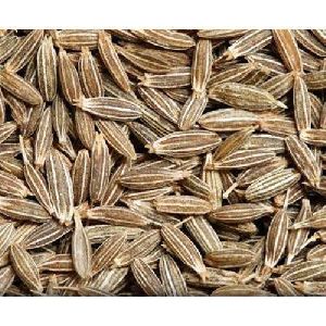 Cumin Seeds