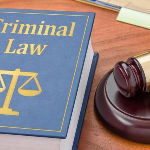 Criminal Case Lawyer Consultancy Services
