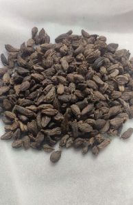 Black Cardamom