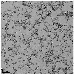 Iron Oxide Nanoparticles