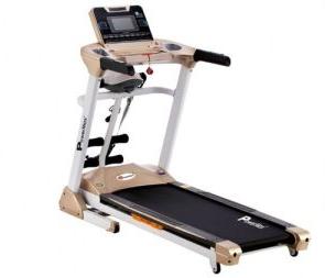 Powermax TDA - 450 Motorized Treadmill