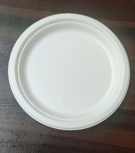 10 Inch Plain Sugarcane Bagasse Plate