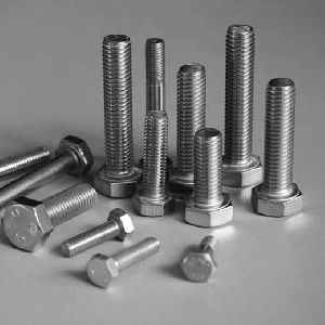 Stainless Steel Nuts