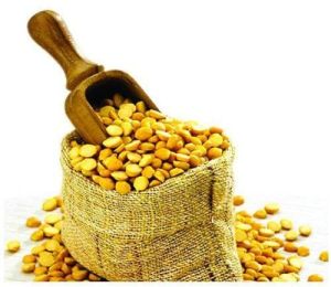 Chana Dal Pulses