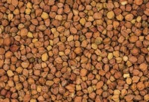 Organic Dried Chana