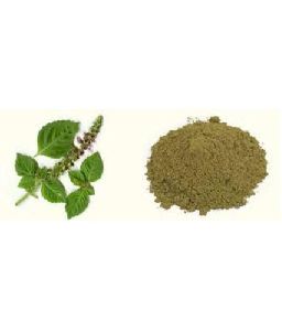 ram tulsi Extract