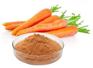 dehydrated carrot powder