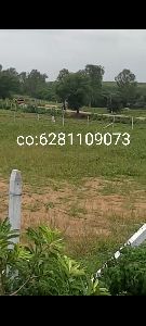 Plots for sale at pargi, vikharabad.