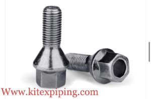 Stainless Steel Fastener