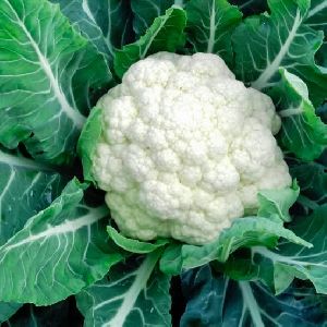 Cauliflower