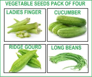 Vegetable Seeds