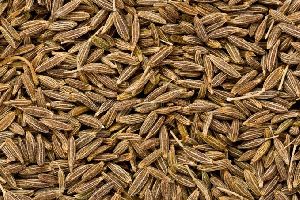 Cumin Seeds