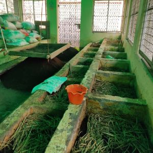 Vermicompost Fertilizer