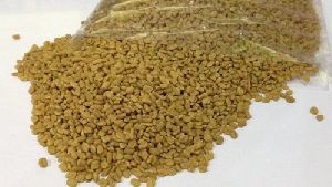 Fenugreek