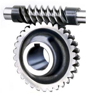 Worm Gear