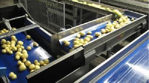 Food Handling Conveyors