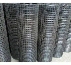 Ms Welded Wire Mesh