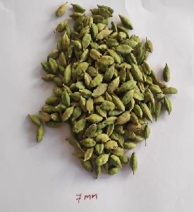 Green Cardamom