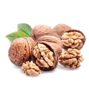 walnut seeds