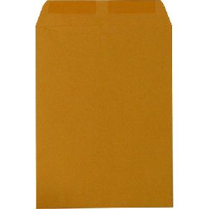 brown paper envelope