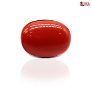 Red Coral Gemstone