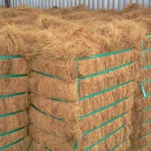 Coir Fibre