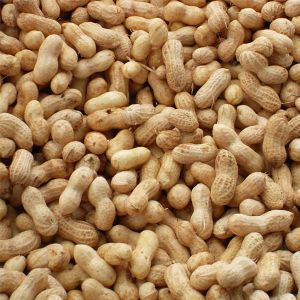 Shelled Groundnuts