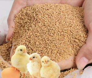 Poultry Feeds