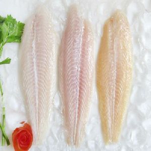 Frozen Vietnamese Basa Fish Fillet