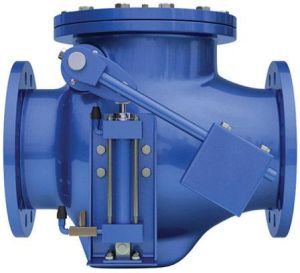 Swing Check Valve