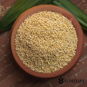 Browntop Millet