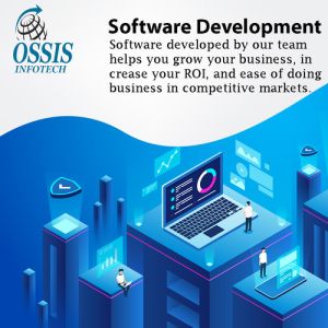 Software Development Service