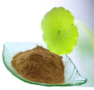 Centella Asiatica Powder