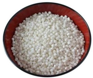 Natural White Sago Seeds