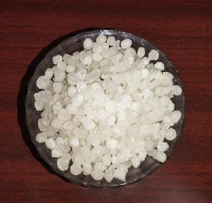 Pure White Sago Seeds