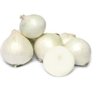 Fresh White Onion