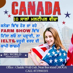 Canada Work Visa Services