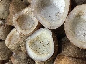 Coconut whole and dried