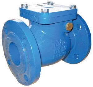 Swing Check Valve