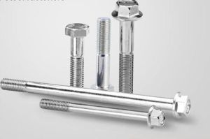 Flange Screws