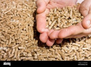 BIOMASS WOOD PELLET