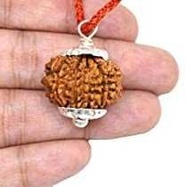 7 Mukhi Rudraksha