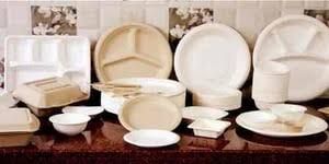 disposable bagasse tableware