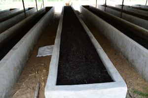 vermicompost