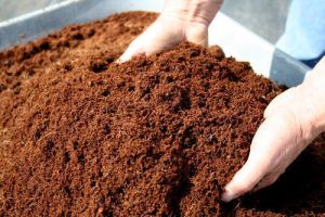 bio vermicompost