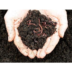 Organic vermicompost