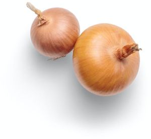 Onion