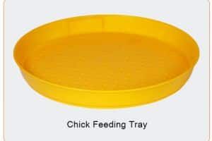 Chick Feeding Tray