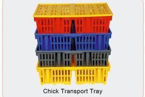 Chick Transport Tray