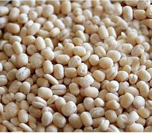 Whole White Urad Dal